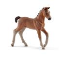 Schleich -  Hannoveraner Fohlen